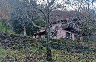 Ipati Forest Chalet - Foto 27