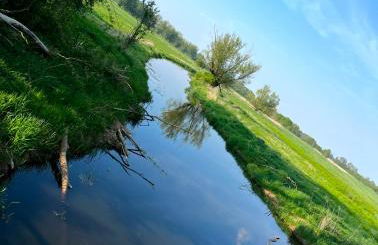 Ferienhaus Lion - Foto 13