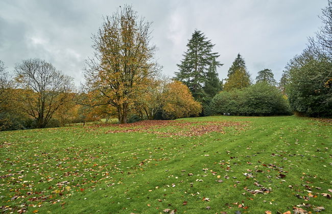 1-bed Cabin, 2 Adults, Wood Burning Hot Tub & Fire - Photo 25