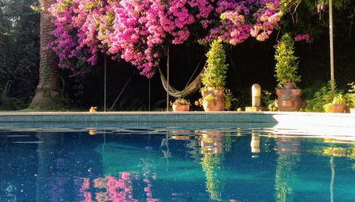 Casa do Pombal - Foto 4