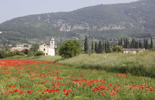 Agriturismo Corte dei Fiori - Foto 15
