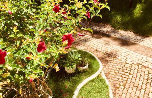 Hotel Fazenda Colina - Foto 43