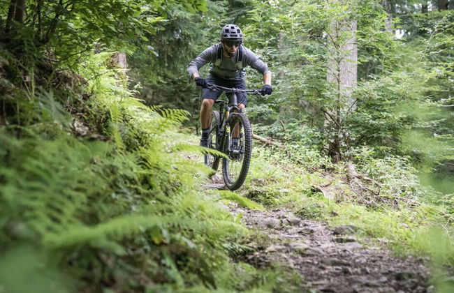 History and Luxus - Photo 32