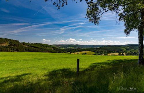 Ferienwohnung am Waldrand - Foto 22