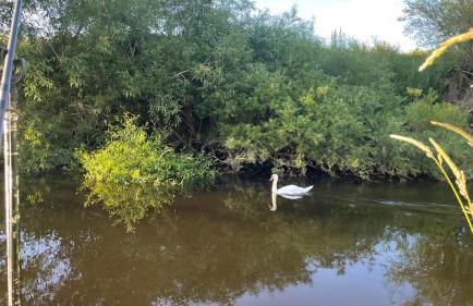 Wharfe Bank Cottage - Foto 53