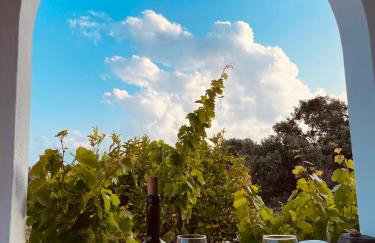 Anevalousa Beach House - Foto 22