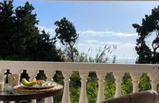 Afroditi Junior Suites - Foto 21