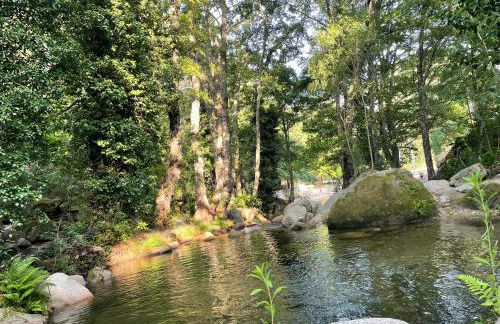 Casa Árbol - Foto 39