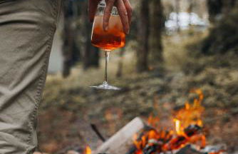 Riverside Retreat on Skagit River - Foto 41