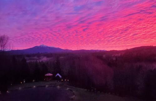 Mountain View Estate Forest Hot Tub Full Arcade - Foto 38