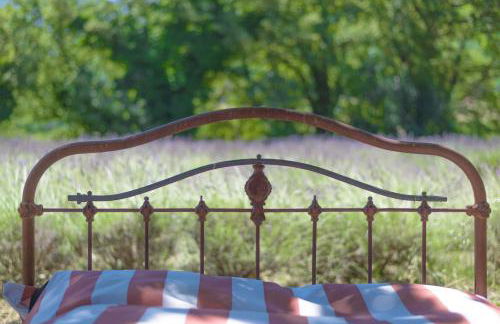 Domaine de L'Essentiel de Lavande - Foto 11