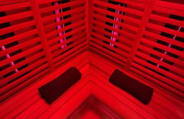 Jungle Room Strasbourg - Évasion Tropicale - Sauna Jacuzzi Balnéo - Foto 15