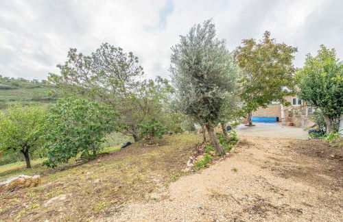 Countryside paradise in Bucelas - Foto 25