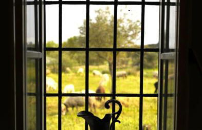 Qta Casa Seleiras - Guest House - Foto 55