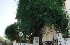 Villa Maria - Foto 1