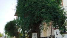 Villa Maria - Foto 1