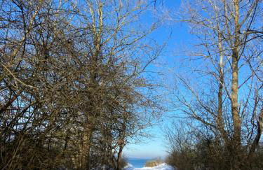 Haus Strandgut - Foto 27