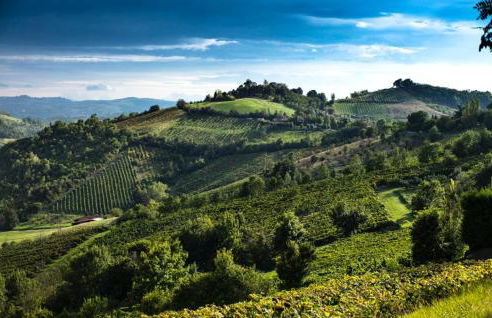 Locanda Gli Ulivi - Photo 24