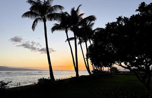 Lahaina Studio: Beachfront, Mountain View, Hot Tub - Foto 11