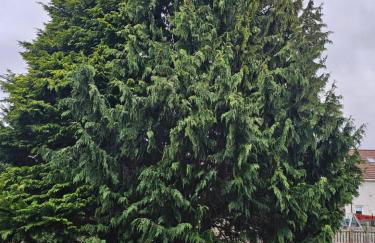 Cosy Oakbank Apartment close to Wishaw hospital - Foto 13