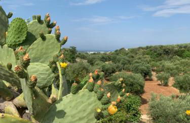 PaolOttaviA - Foto 75