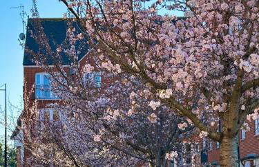 Perfect for WMC, principality stadium and Utilita Arena - Foto 40