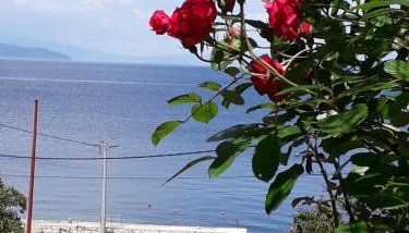 Apartment Ilario - Foto 4