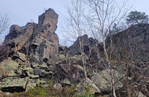 Apartment fewobaerenstein - Foto 6