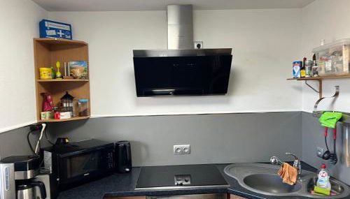 Loft Unterkunft in Hügelsheim - Foto 4, stove, minibar