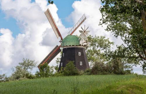 Wohnung in Tessmannsdorf mit Garten - Foto 56