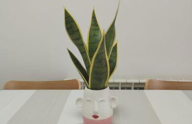 Quiet apartment in Cudón - Foto 13