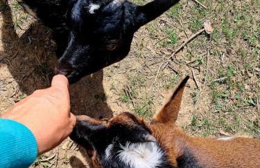 LO CANTO - Piscine & Spa - Près d'Albi et Cordes - Foto 80