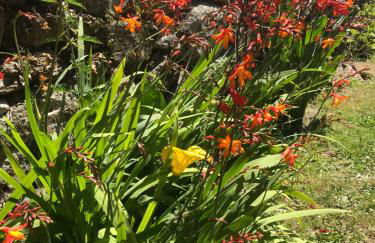 Casa A Canteira - Foto 67