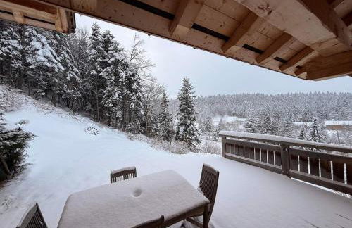 Chalet spacieux 10 pers au pied des pistes, Corrençon-en-Vercors - FR-1-515-215 - Foto 18