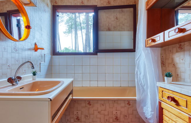 Les Sylvaines - Foto 19