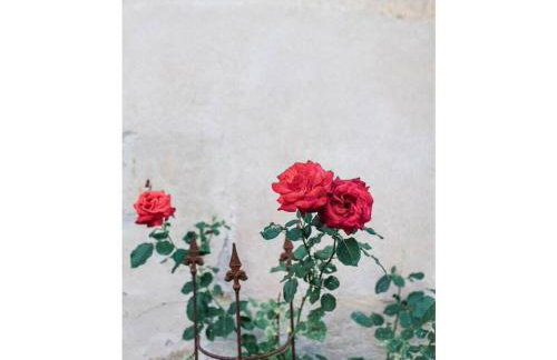 Castle Apartment "Cook" - Photo 14