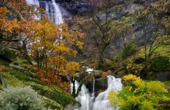 Picaza del Jerte - Foto 27