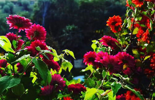 Quinta do Vale Encantado "the Valley" - Santarém - Portugal - Foto 38