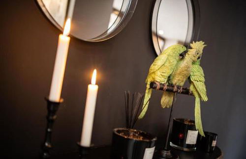 SWIMCASALILLE Loft piscine intérieure 10 mn gares - Foto 6