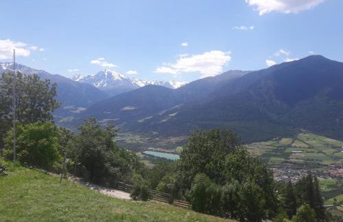 Hofschank Reinalterhof - Foto 7