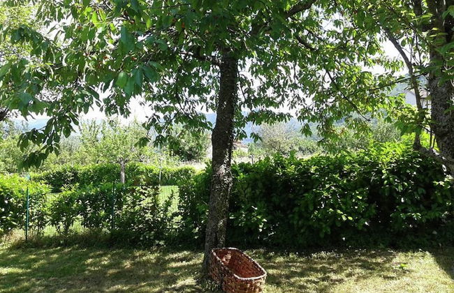 Peaceful Stay With Garden - Photo 27