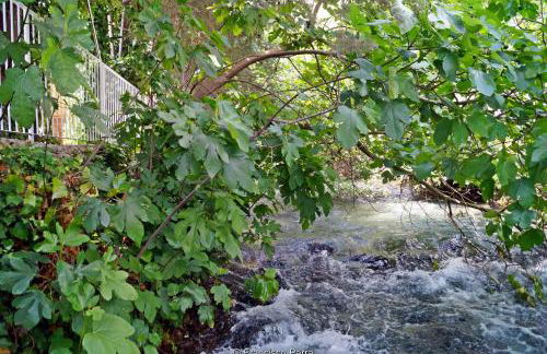 Casa Rural El Nacimiento - Photo 53