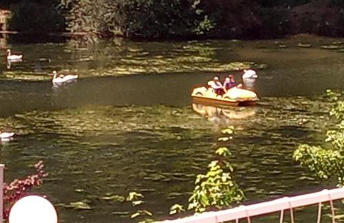 Ferienwohnung 3 - Foto 7