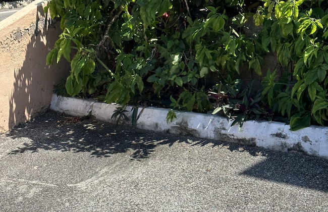 Remarkable 1-bed Apartment in Montego Bay - Photo 27