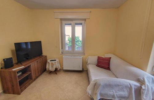 Stellar Blue Palio - Foto 24