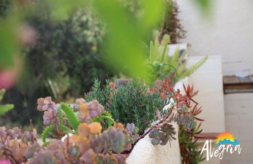 Casa Alegria Mojacar - Foto 9