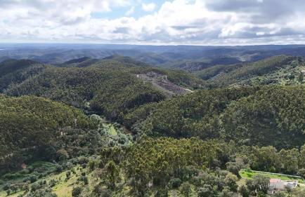 Casa de Celebrar a Vida - Foto 57