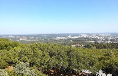 Cabeço dos Três Moinhos - Foto 6