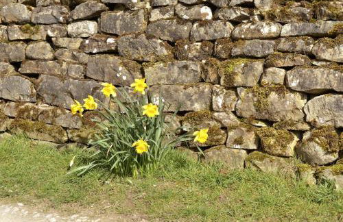 Fern Cottage - Cosy Dales Cottage in Nidderdale - Photo 40