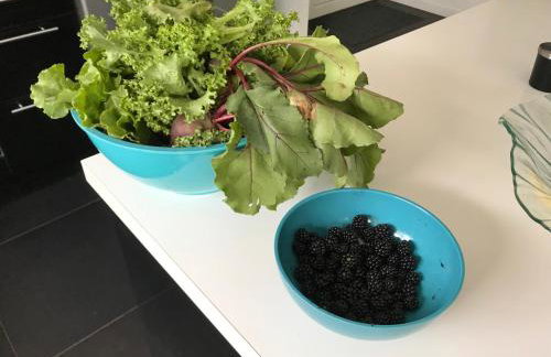 Résidence des trois pins - Foto 34